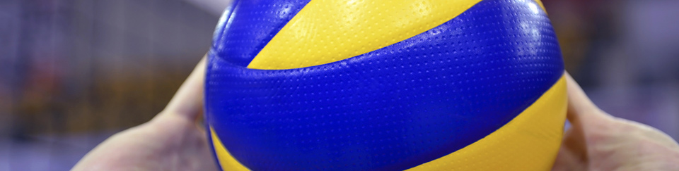 volleyball/bilder/Volleyball_3klein.jpg